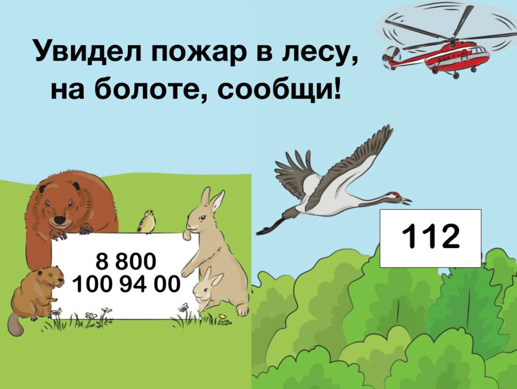 8.jpg 8.jpg